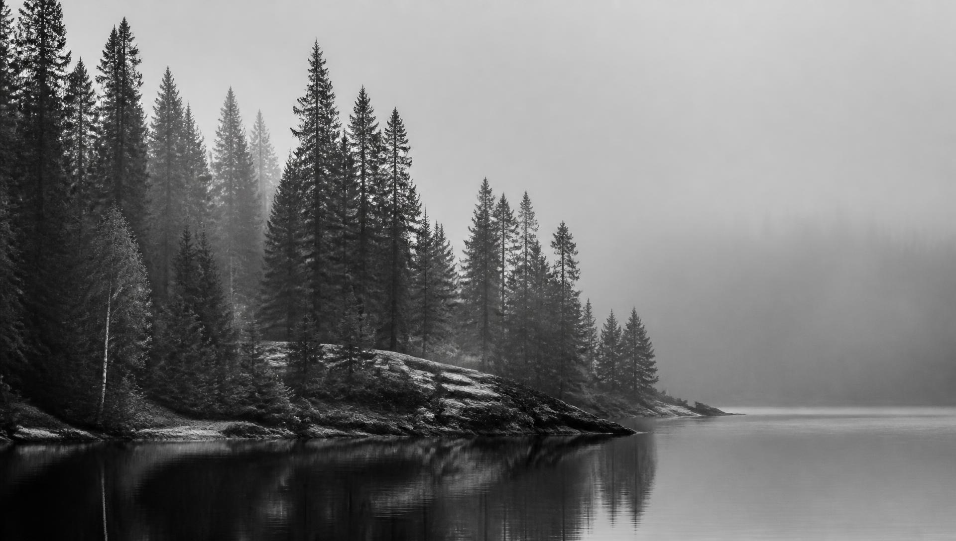 Black and white Nordic forest lake in mist